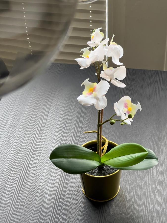 Design Wohnung Naehe Uni Кобленц Екстериор снимка